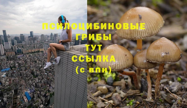 шишки Гатчина