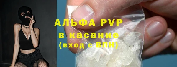 шишки Гатчина