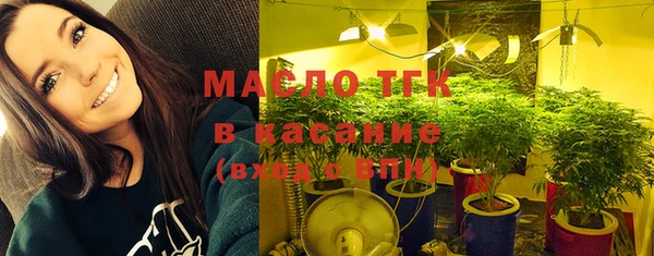 прущая мука Каменка