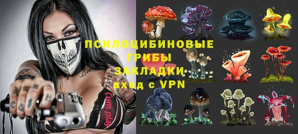 mdpv Каменск-Шахтинский