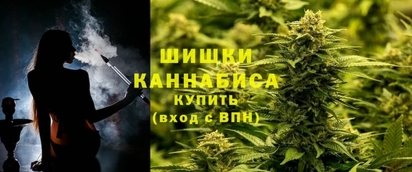МДПВ Каменногорск