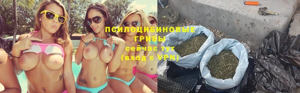 МДПВ Каменногорск