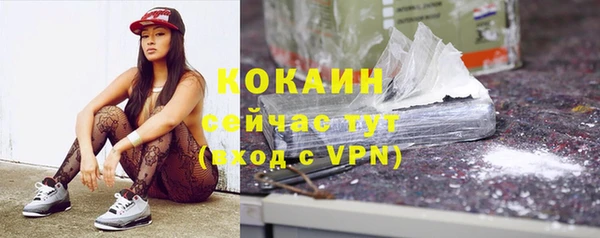 прущая мука Каменка