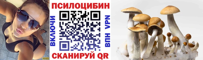 что такое   Кемь  Галлюциногенные грибы прущие грибы 